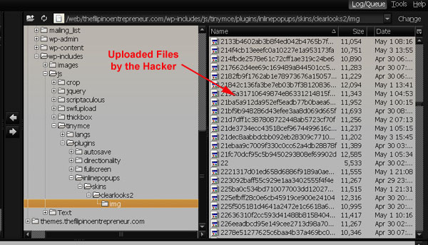hacked-wp-folder3 hacked-wp-folder3
