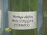 malunggay shampoo