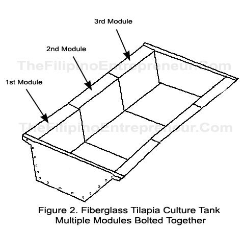 Multiple Tilapia Tank Module 